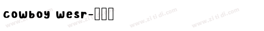 cowboy wesr字体转换